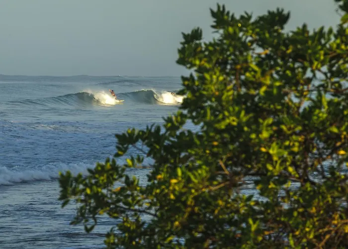 Lodge Rapture Surfcamps Costa Rica Tamarindo