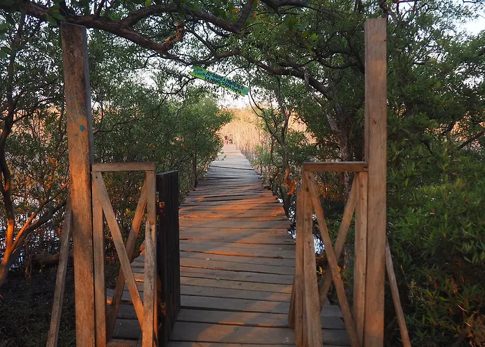 Lodge Rapture Surfcamps Costa Rica Tamarindo