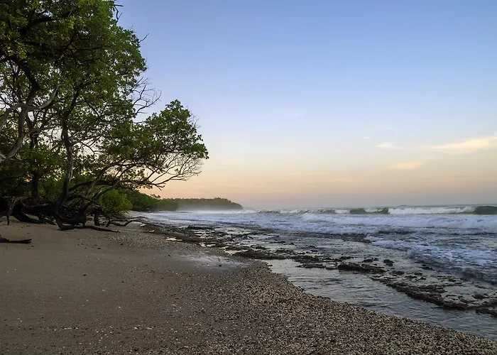 Rapture Surfcamps Costa Rica