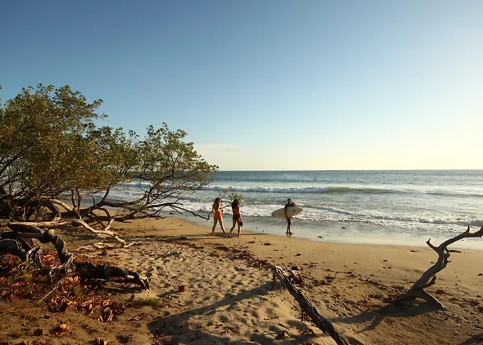 Lodge Rapture Surfcamps Costa Rica